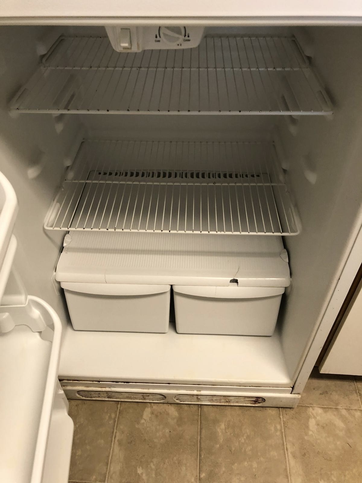 Clean refrigerator after eco-friendly deep clean